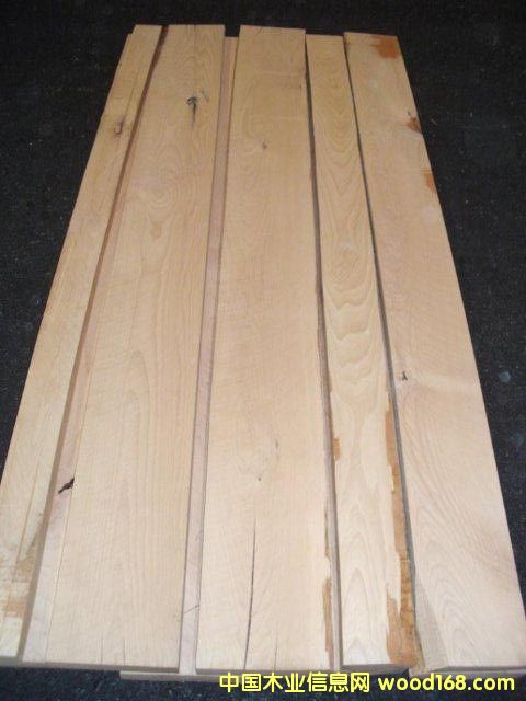 櫸木的詳細介紹