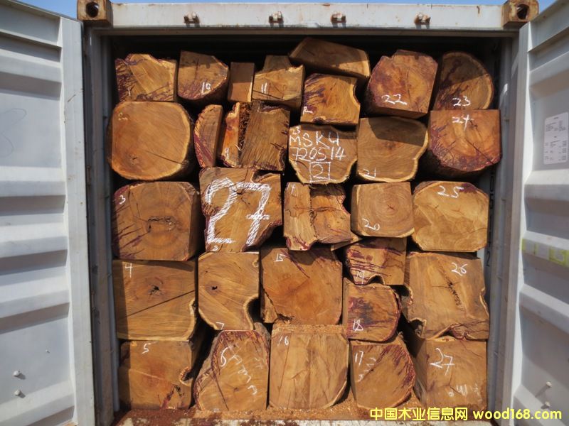 �������Ԕ��(x��)��B