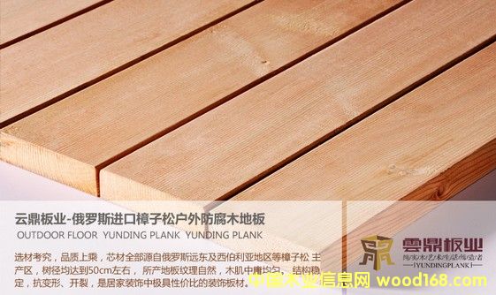 �����ɷ���ľ��Ԕ��(x��)��B