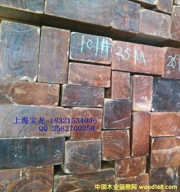 緬甸柚木的詳細(xì)介紹