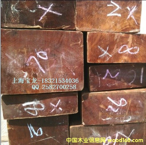 ������ľ