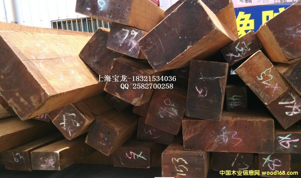 緬甸柚木的詳細(xì)介紹