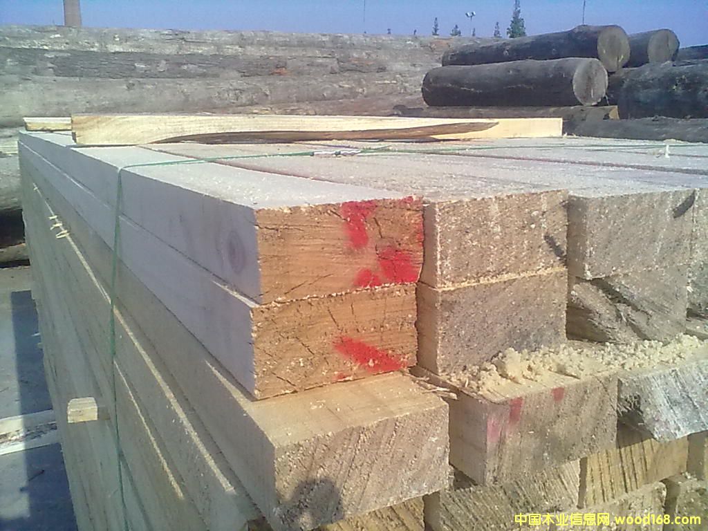 ݗ���ɽ���ľ����Ԕ��(x��)��B