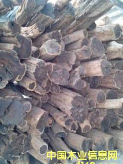 ��ľ��Ԕ��(x��)��B