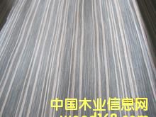 ����(y��ng)ľƤ��Ԕ����B