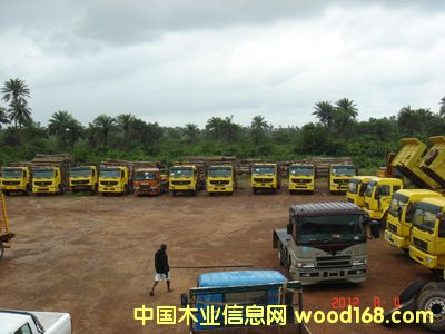 ����ԭľ �ш����I(y��)��Ԕ��(x��)��B