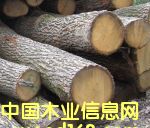 ��ľԭľ��Ԕ����B