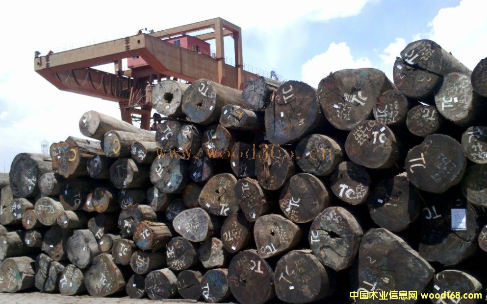 ɽ��ľ��Ԕ��(x��)��B