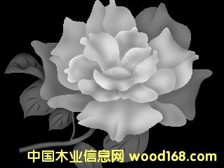 �����OӋ��Ӗ