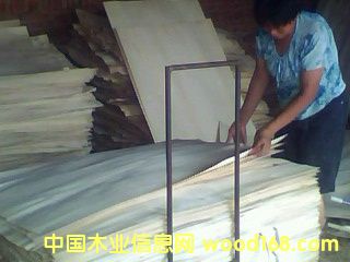 ��ľƤ��15936399521