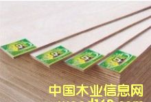 �o��ȩ�z��ľ���\��ȫ����������Ԕ����B