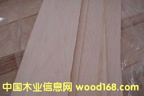 加楓的詳細介紹