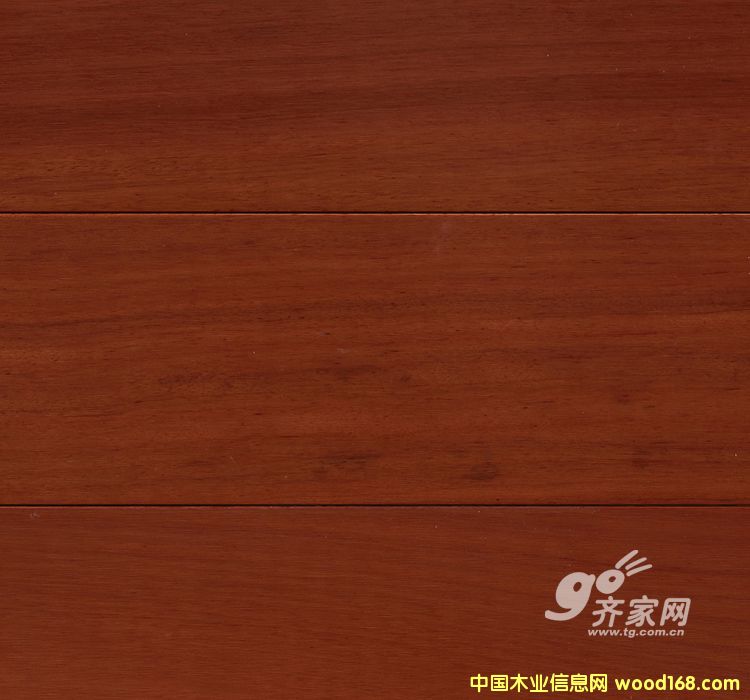 �c���鿴��ľ�Ŵ�DƬ