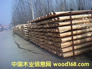 �c(di��n)���鿴ݗ������Ƥ�Ŵ�DƬ