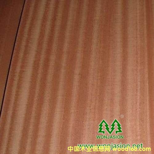 ɳ������Ԕ��(x��)��B