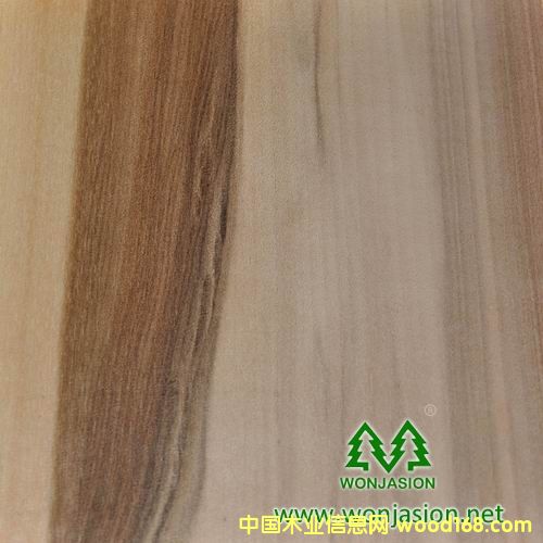 ������ľƤ��Ԕ��(x��)��B