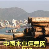 �c(di��n)���鿴ʲô��ɭ���J(r��n)�C���Ŵ�DƬ