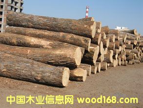 �c(di��n)���鿴��ʲô��Ҫɭ���J(r��n)�C���Ŵ�DƬ