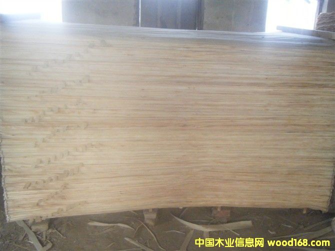 ������ľƤ��Ԕ����B