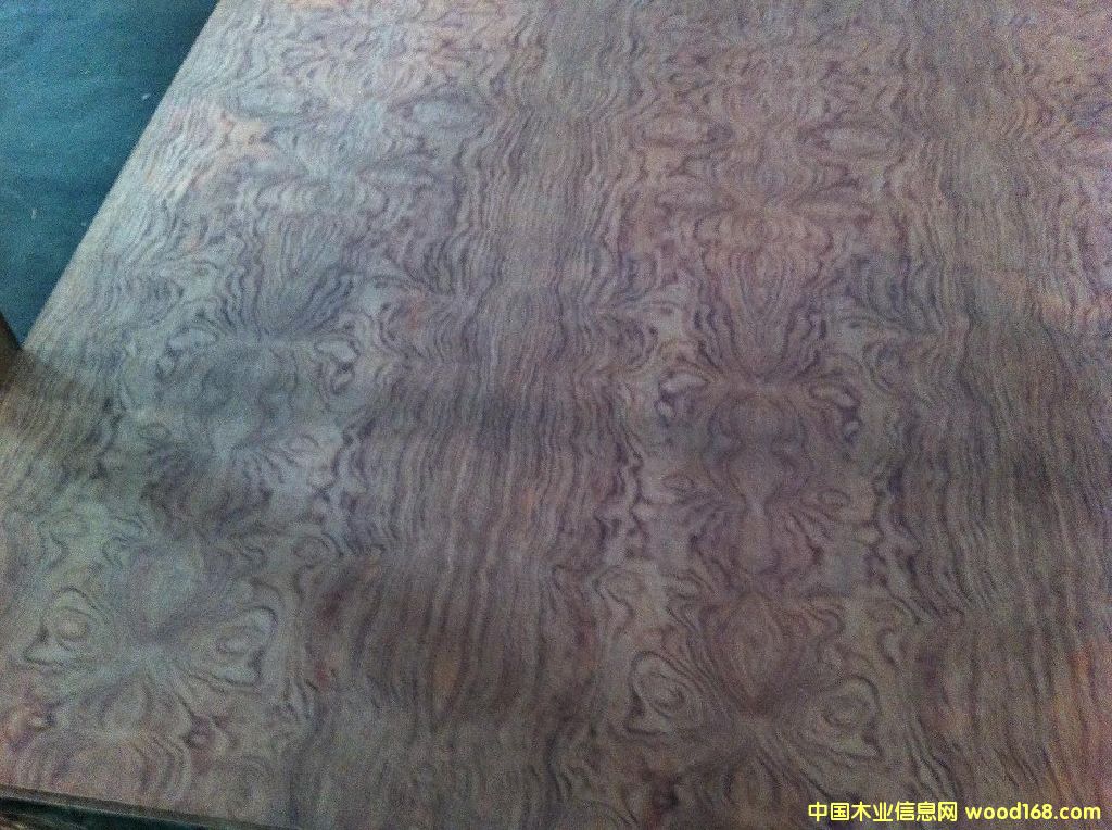 ���������Ԕ��(x��)��B