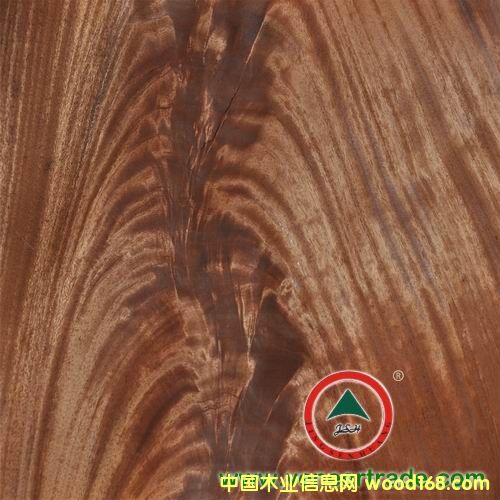 �һ�о��(sh��)辵�Ԕ��(x��)��B