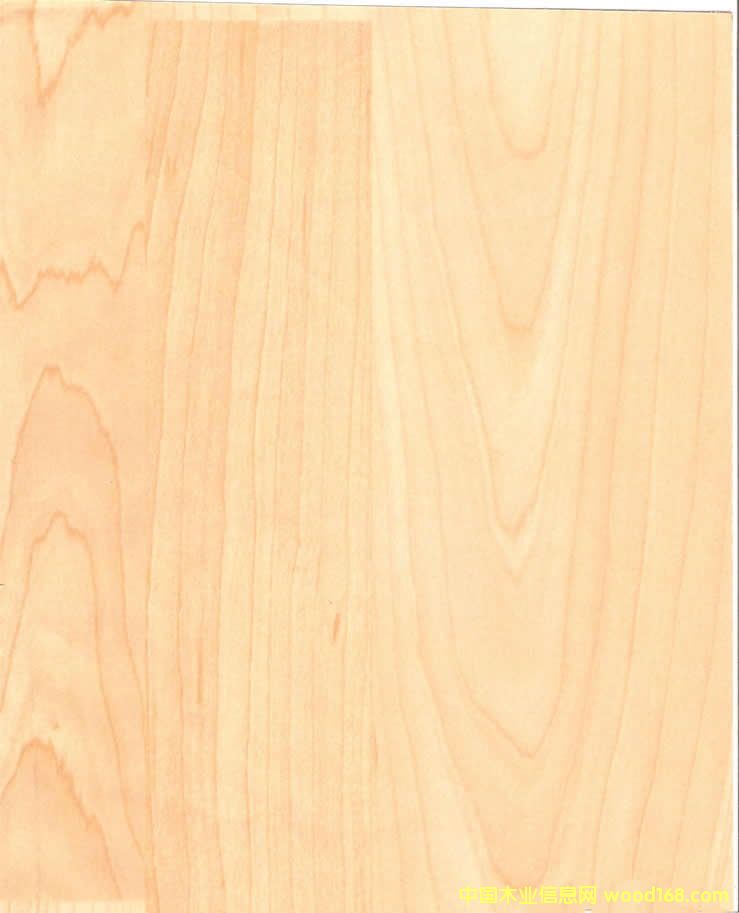 �c���鿴��ľľƤ�Ŵ�DƬ