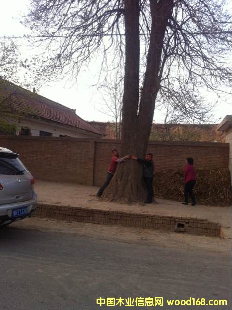 �ľԭľ��Ԕ����B