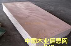 ���b���Ԕ��(x��)��B