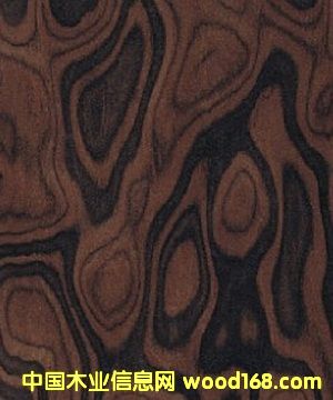 ���Ҙ��  �ߙn�Ҿ�ľƤ��Ԕ����B