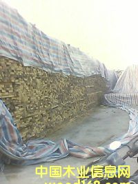 ��������̴|����ľ��|����ľ��|ӡ��|�S��|�����M�����P  