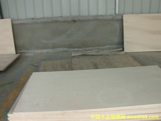 [��] �����z�ϰ����l(f��) һ�γ��� �S��ֱ�N ����(y��u)�� 