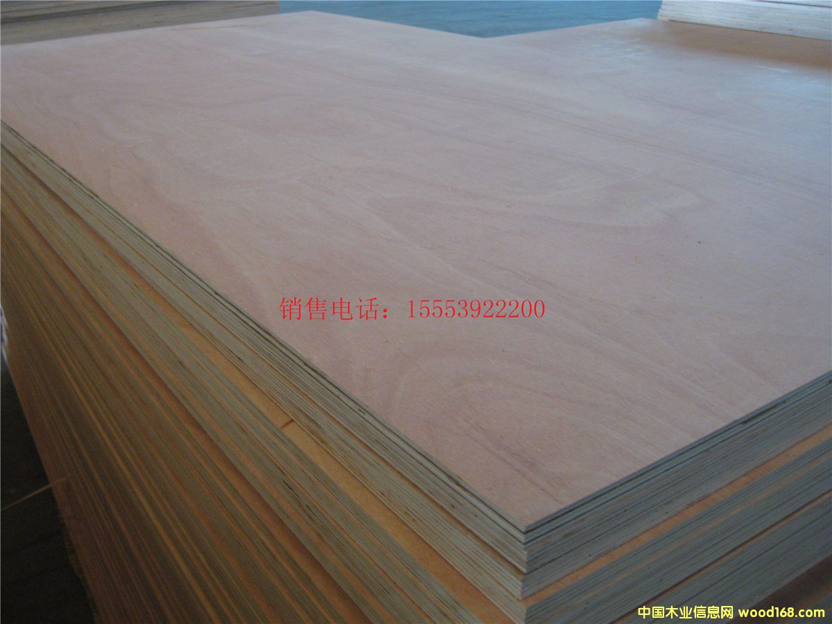 [��] �R�ʰ��b��S�� ֱ�N���N��ȵ� ���Ӱ��b�� 