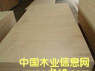 [��] �ΰ�ӻ���lvl����ľ���Ӱ壩��ľ�� 