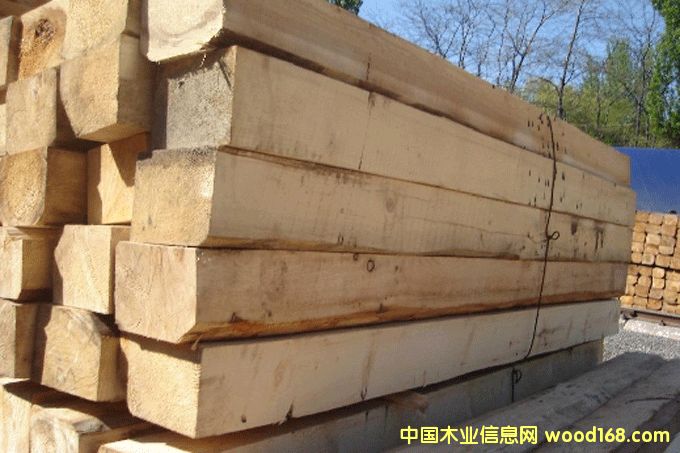 ��ľ��Ԕ��(x��)��B