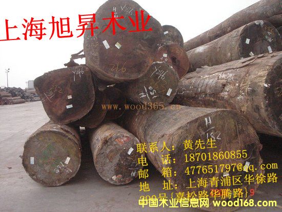 ���޲��}��ԭľ�ӹ�����