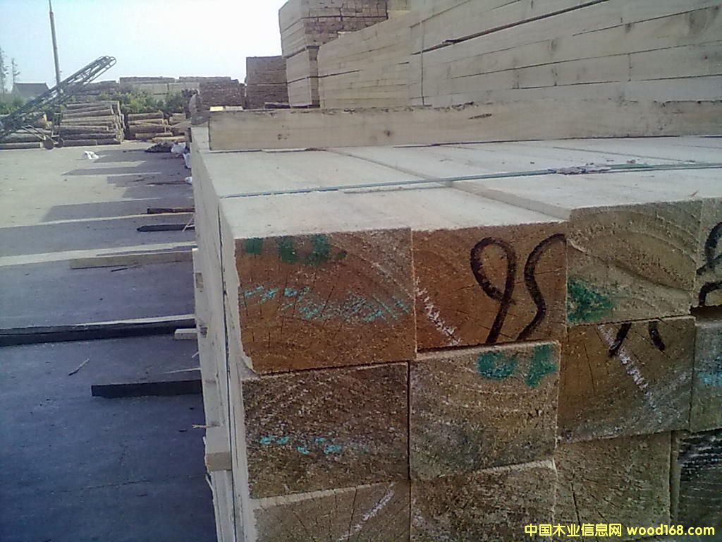 �c���鿴ݗ����ľ���Ŵ�DƬ