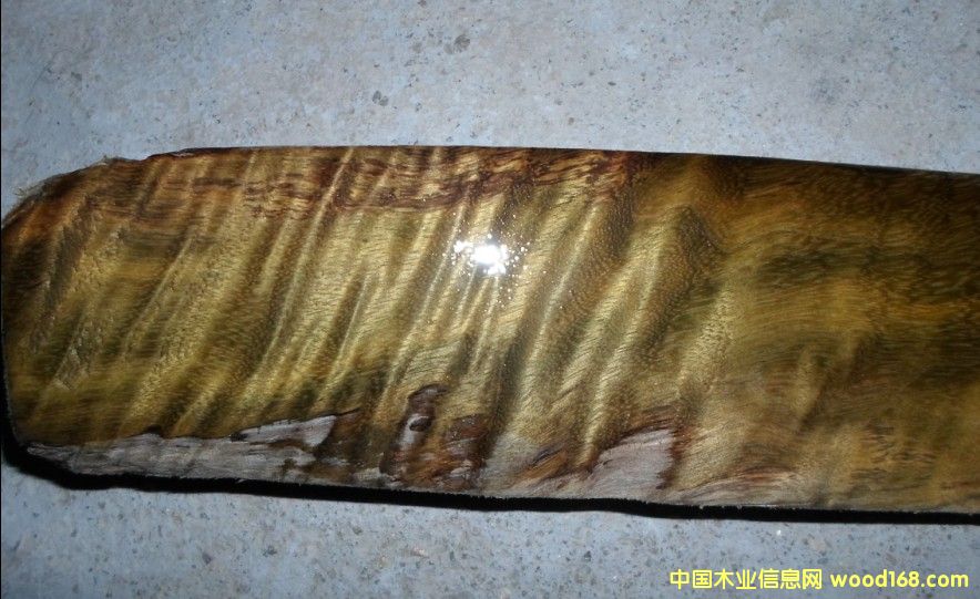 �c���鿴��z�ꎳ�ľ�Ŵ�DƬ