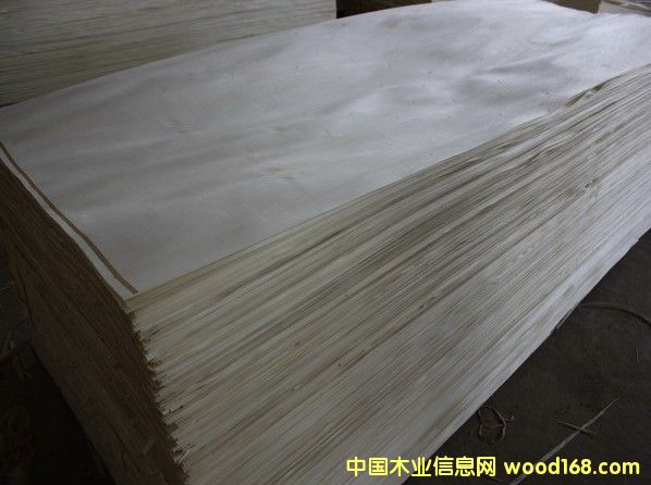 Ư�ח�ľ�ΰ�