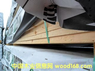 ��ɼ|2013042206