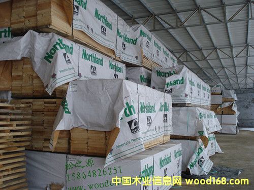 ���{(l��n)SPF