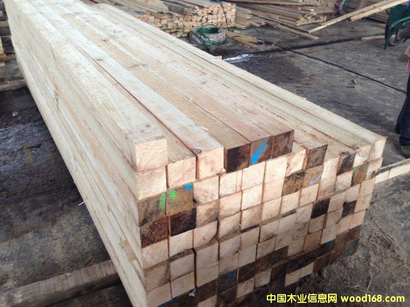 [��] �Fɼ��