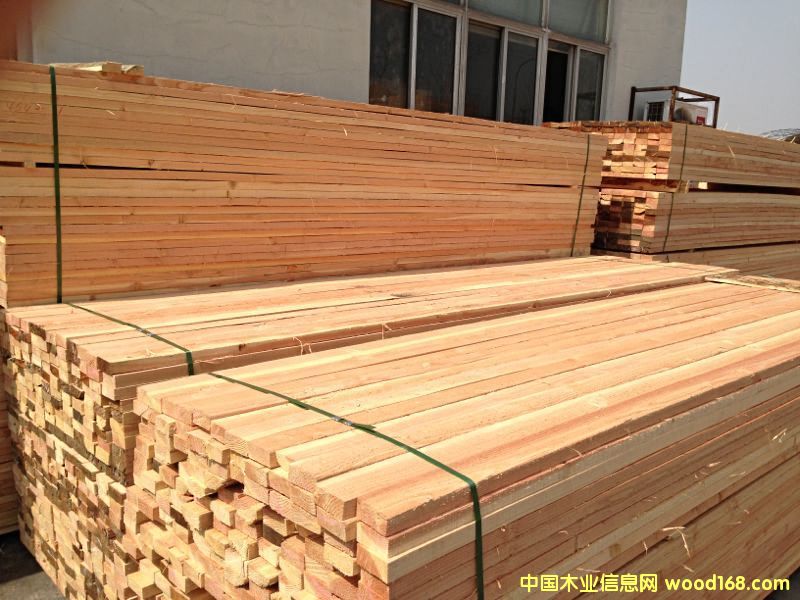 ������ľ��