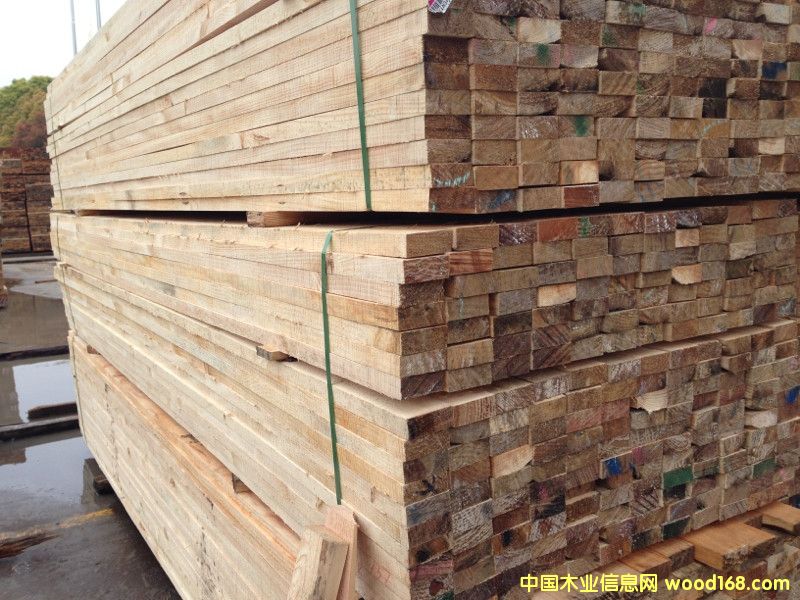 輻射松3.5*8.5 輻射松3.5*8.5