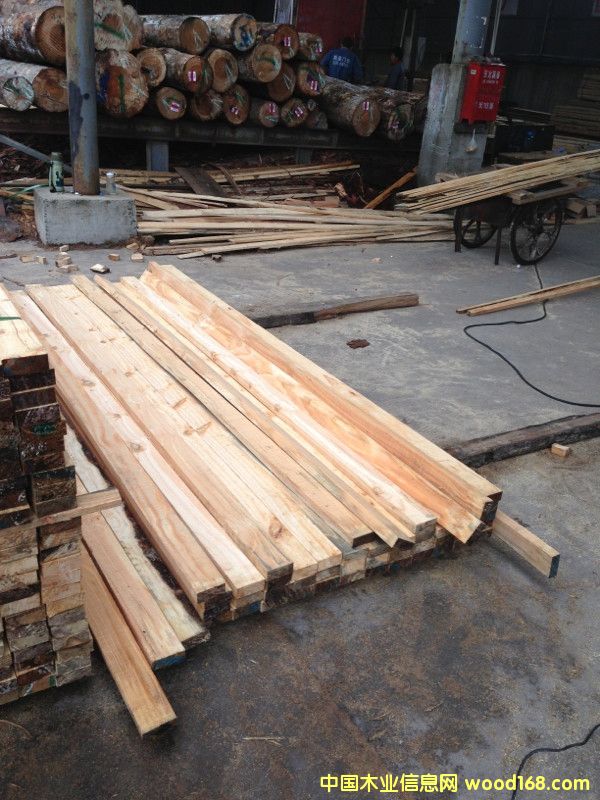 [��] ݗ���ɷ�ľ