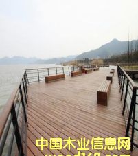 �����N(xi��o)������������3541