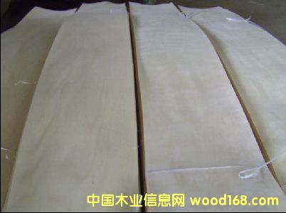 楓樺木皮 楓樺木皮