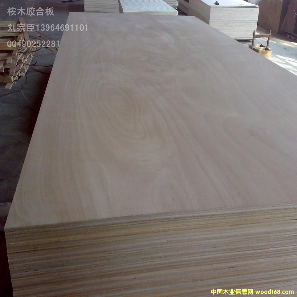 ��ľ���Ӱ壨�Ҿ߼�(j��)��