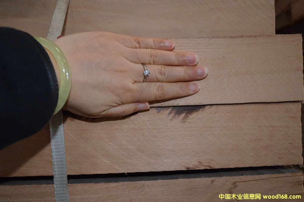 櫸木齊邊才 櫸木齊邊才