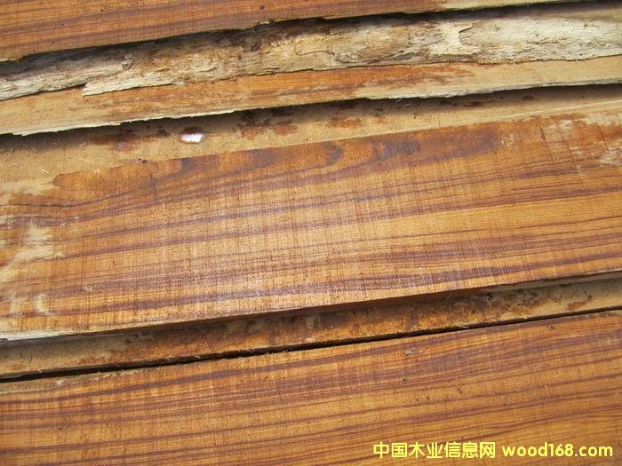 黑筋柚木 黑筋柚木
