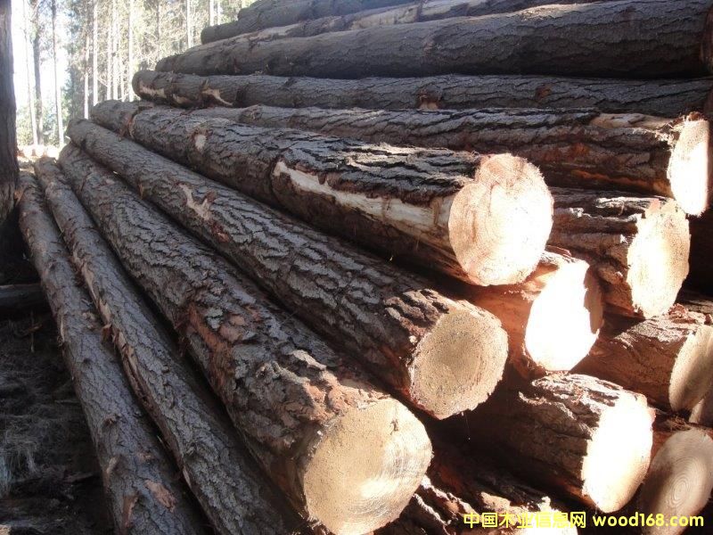 ݗ���ɵ�Ԕ��(x��)��B